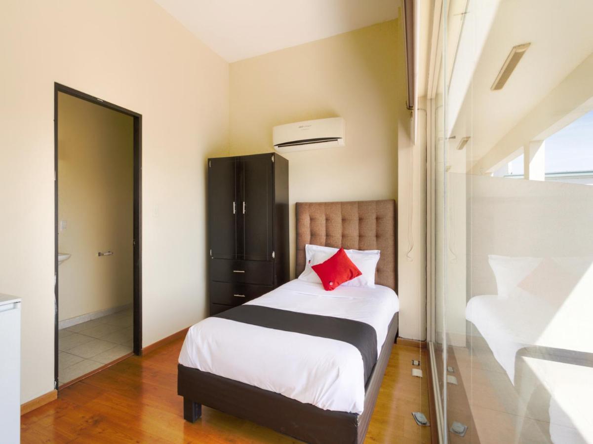 Ecohabit, Monterrey 3*